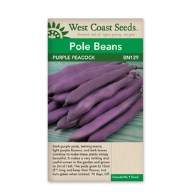West Coast Seeds Purple Peacock
