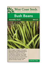 West Coast Seeds Bush Bean - Maxibel Filet