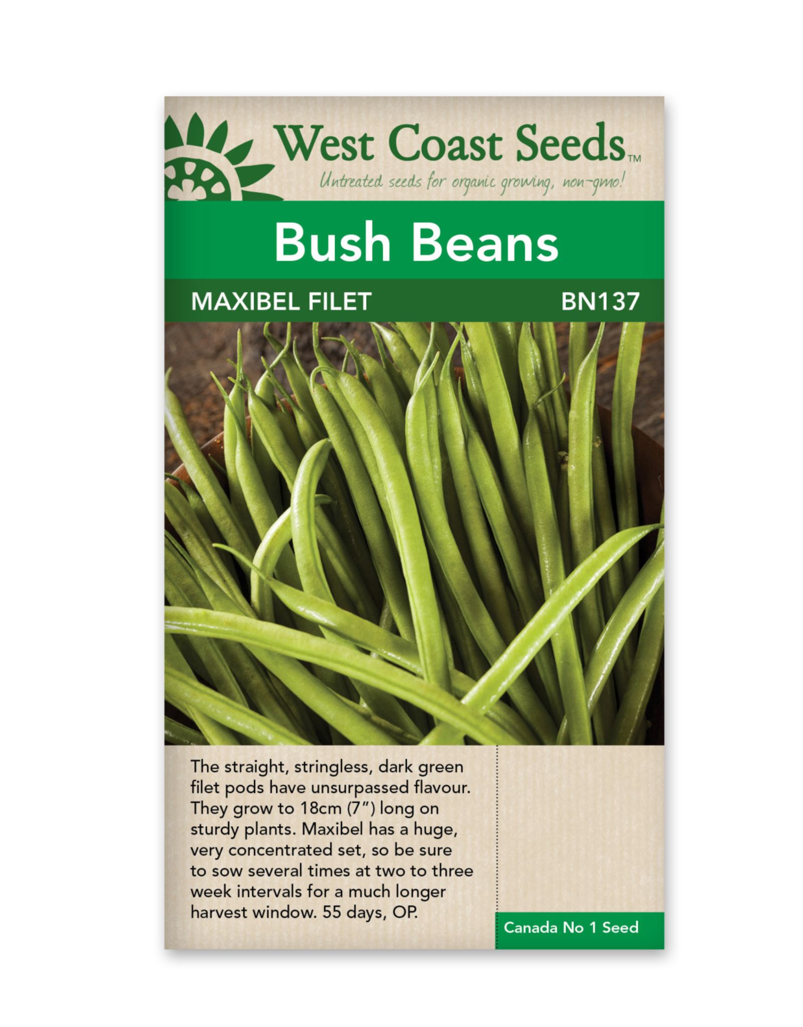 West Coast Seeds Bush Bean - Maxibel Filet