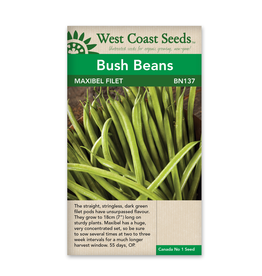 West Coast Seeds Bush Bean - Maxibel Filet
