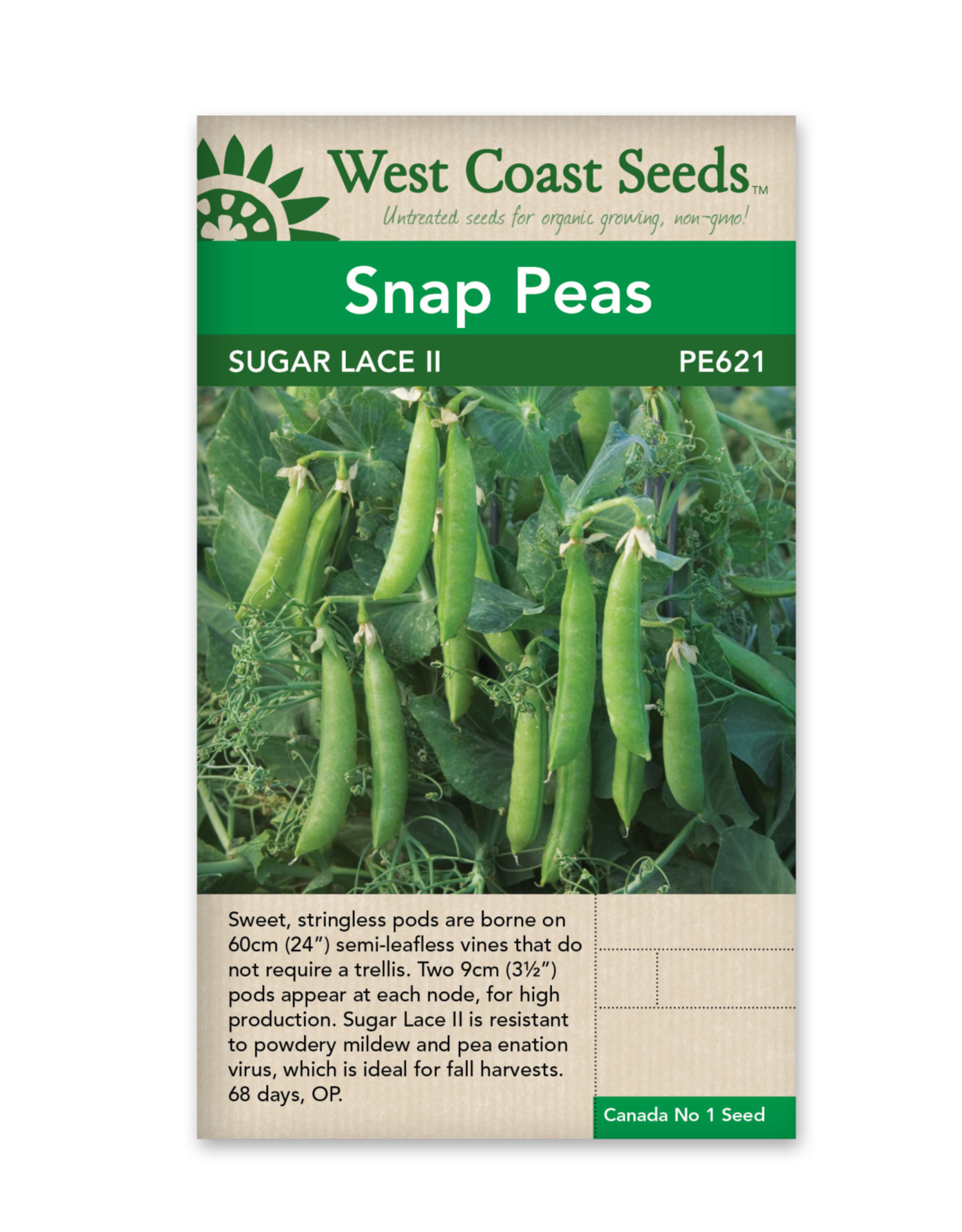 West Coast Seeds Sugar Lace II