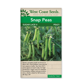 West Coast Seeds Sugar Lace II