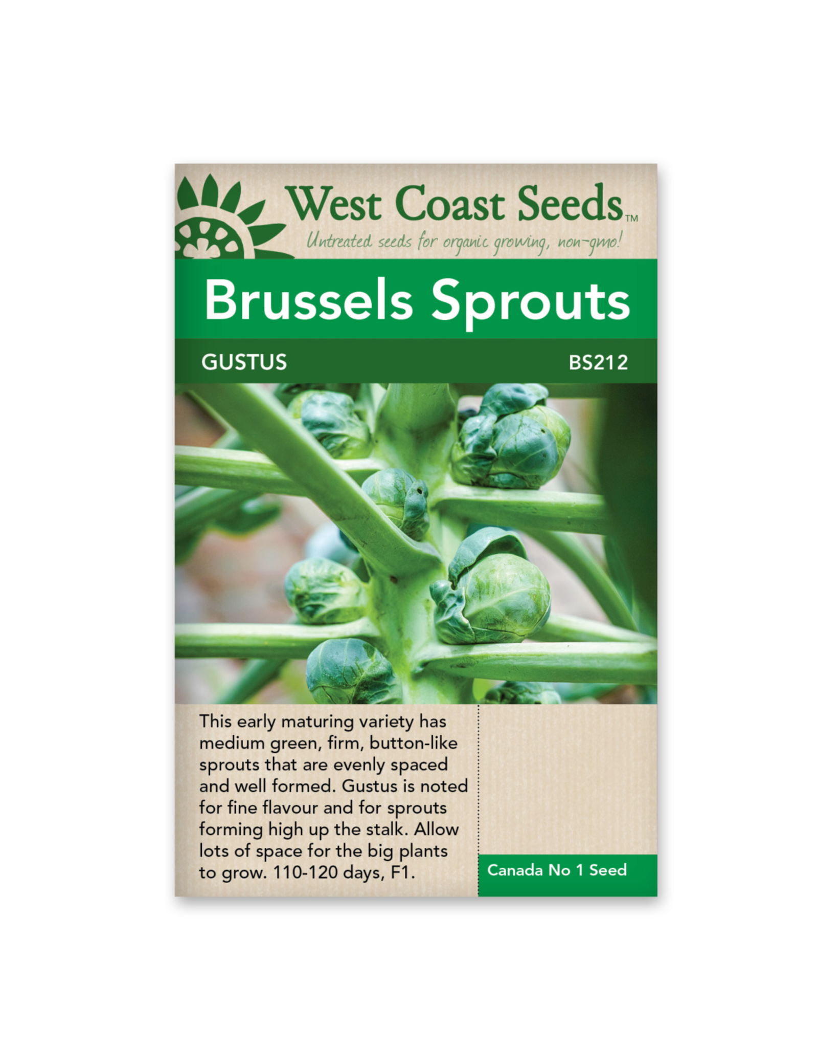 West Coast Seeds Brussel Sprouts - Gustus F1