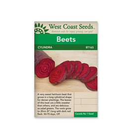 West Coast Seeds Beet - Cylindra