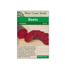 West Coast Seeds Beets - Cylindra