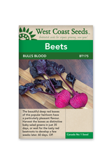 West Coast Seeds Beets - Bull's Blood