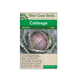 West Coast Seeds Cabbage - Deadon F1 Coated Organic