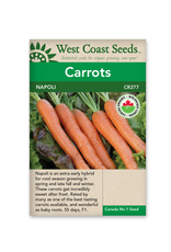 West Coast Seeds Napoli F1 (Coated) Certified Organic