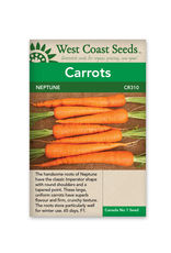 West Coast Seeds Carrots - Neptune F1