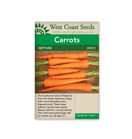 West Coast Seeds Carrots - Neptune F1