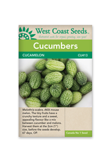 West Coast Seeds Cucamelon (30 Seeds)