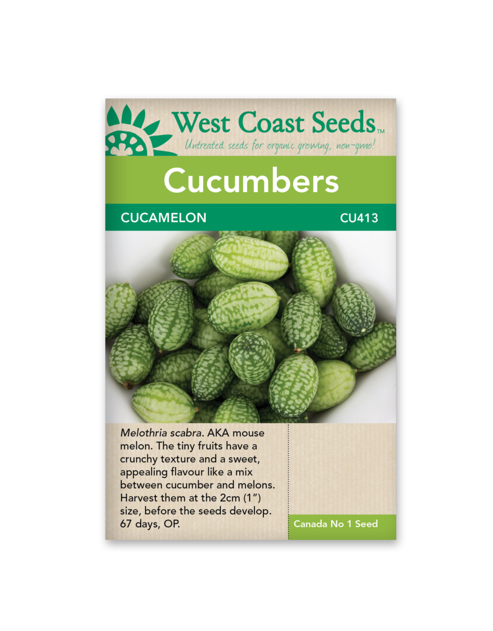 West Coast Seeds Cucumbers - Cucamelon