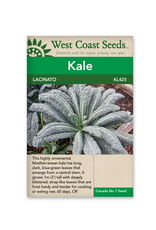 West Coast Seeds Kale - Lacinato