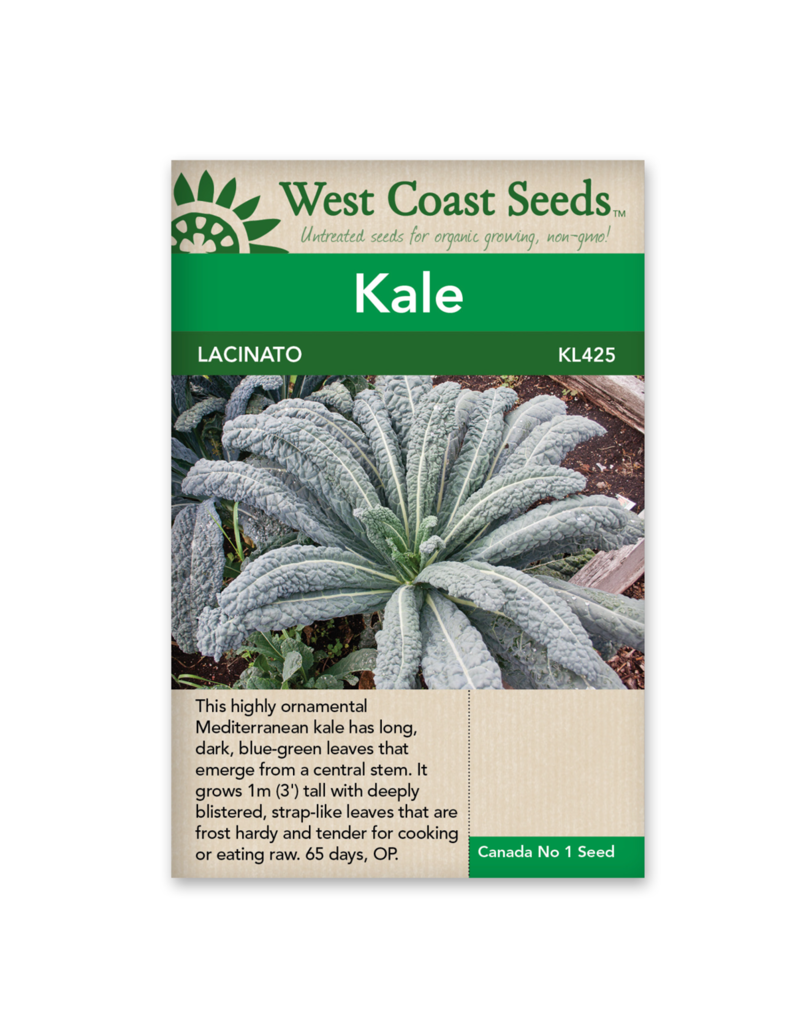 West Coast Seeds Kale - Lacinato