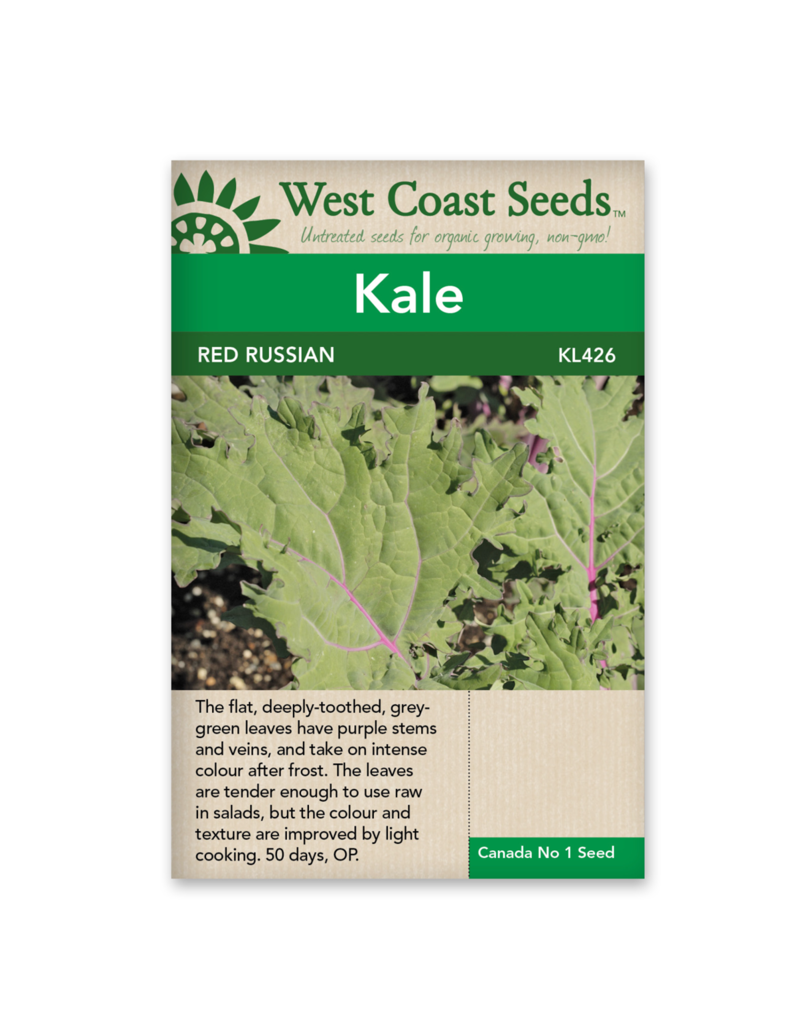 West Coast Seeds Kale - Red Russian