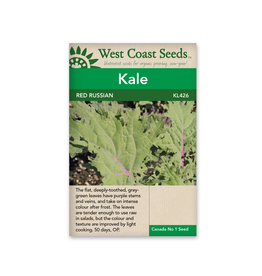 West Coast Seeds Kale - Red Russian