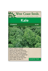 West Coast Seeds Kale - Starbor F1