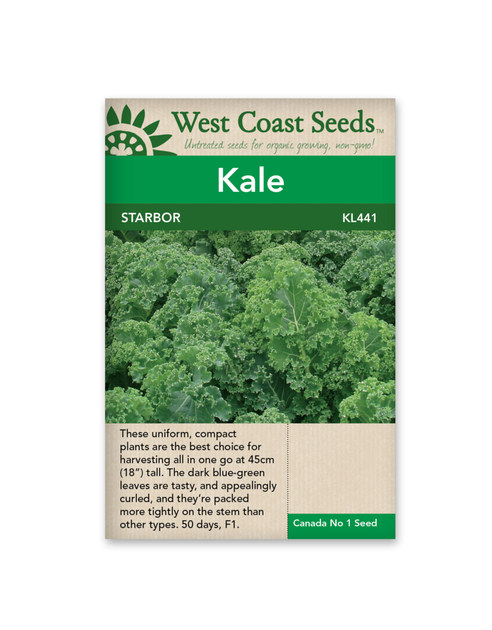 West Coast Seeds Kale - Starbor F1