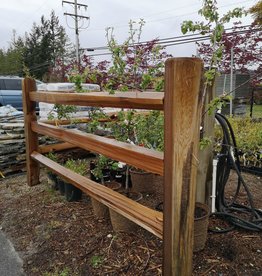 Cedar Split Rail Fencing Rails