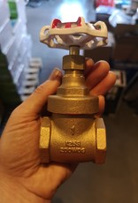 1 inch Brass FIP Gate Valve 206A RW-Toyo