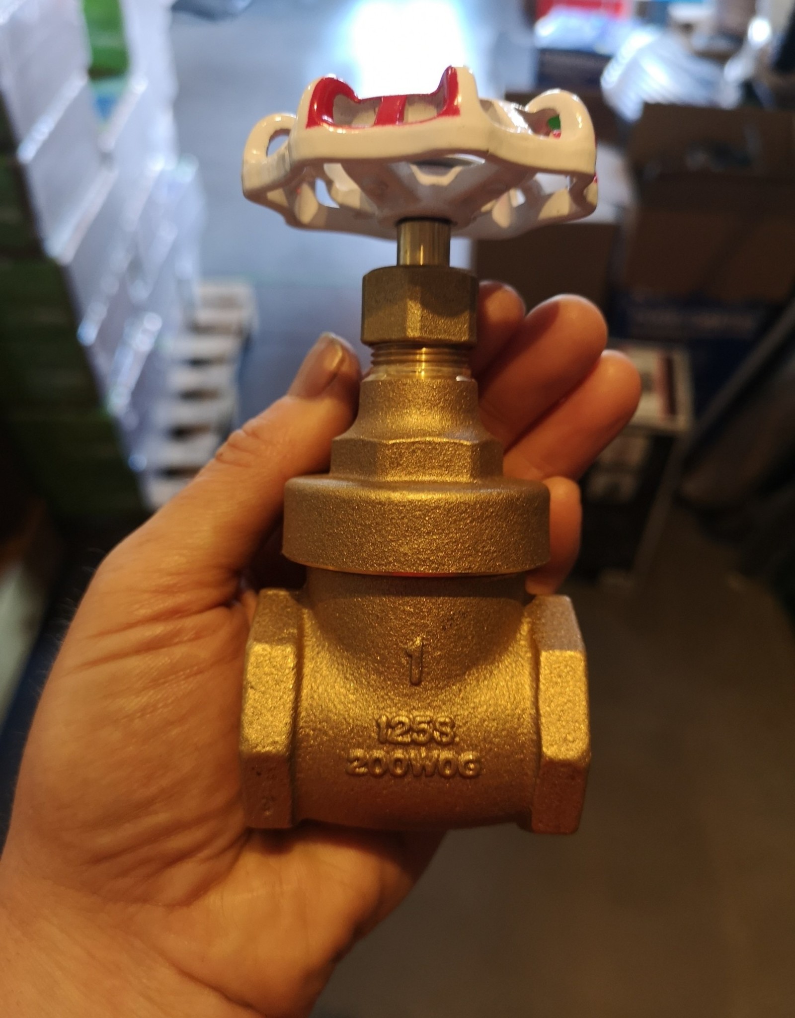 1 inch Brass FIP Gate Valve 206A RW-Toyo