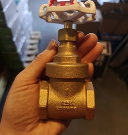 1 inch Brass FIP Gate Valve 206A RW-Toyo
