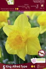 Narcissus (Daffodil) - Per Bulb - King Alfred
