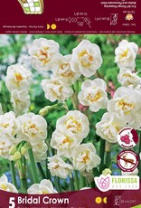 Narcissus (Daffodil) - Per Bulb - Bridal Crown