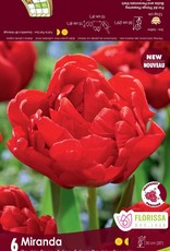 Tulip Double Peony - Per Bulb - Miranda