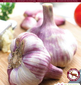 Garlic - Hardneck - Per Bulb - Metechi