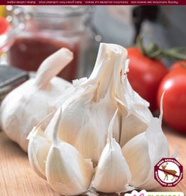 Garlic - Hardneck - Per Bulb - Music