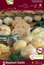 Garlic - Per Clove -  Elephant