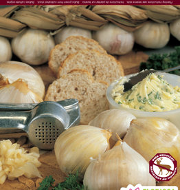 Garlic - Per Clove -  Elephant