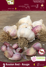 Garlic - Hardneck - Per Bulb - Russian Red