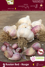 Van Noort Garlic - Hardneck - Russian Red (Per Bulb)