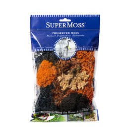 Moss Mix Halloween