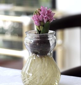 Indoor Bulb Forcing Vase - glassware only