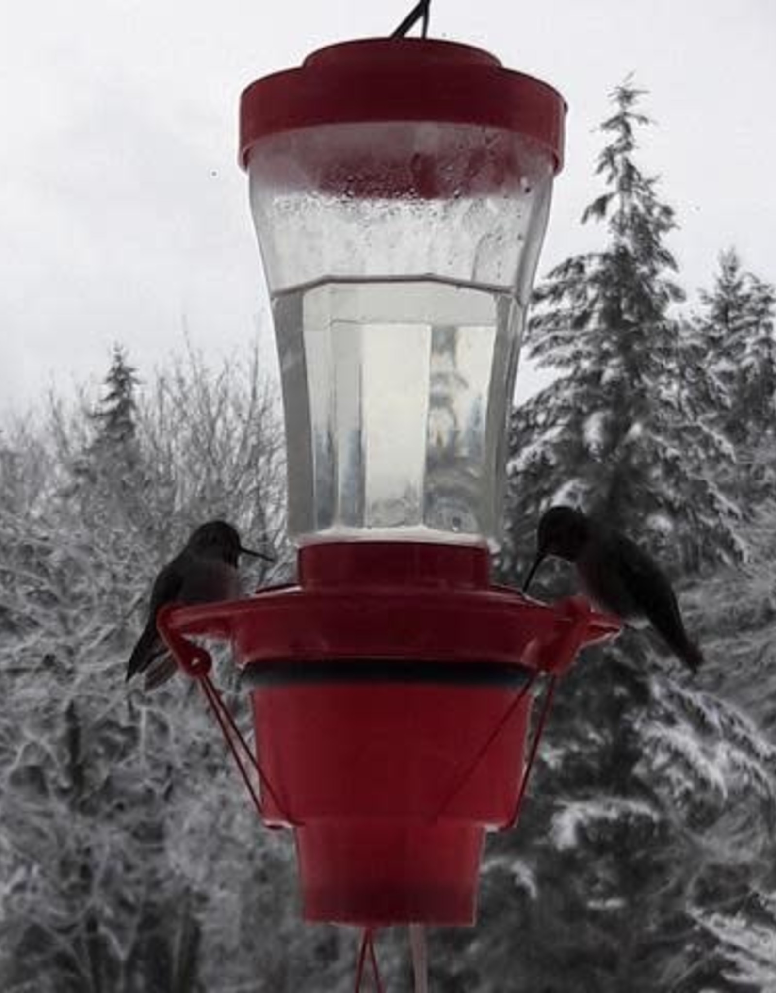 Hummingbird Feeder Heater- Feeder Not Included