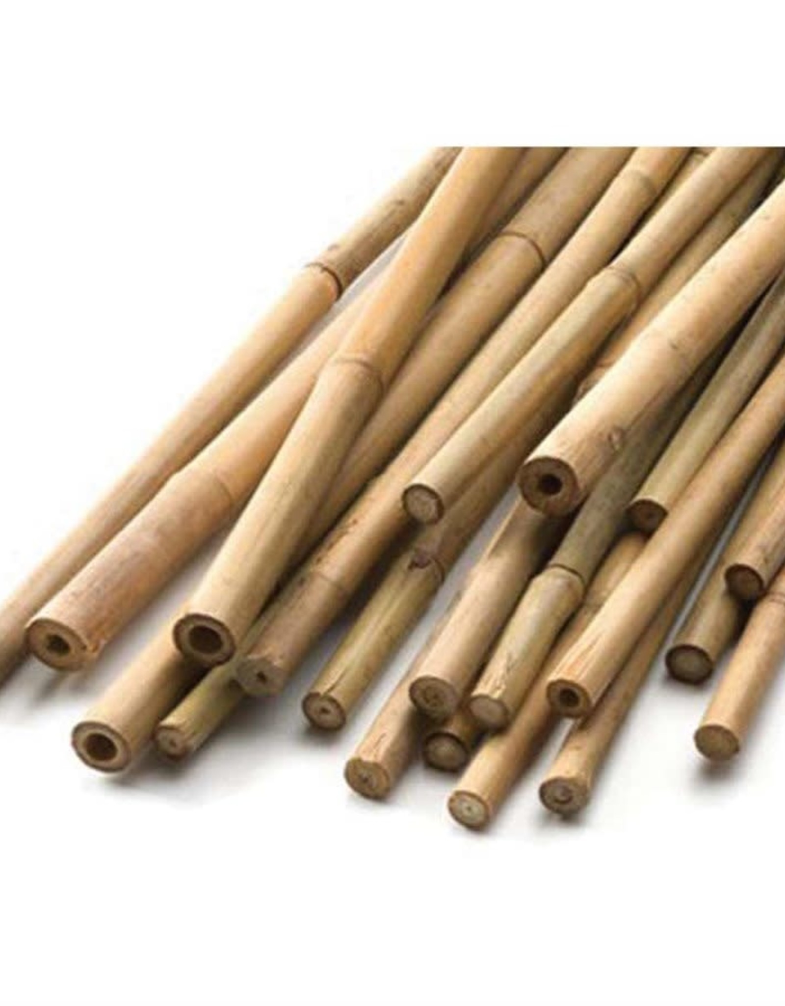 Natural HD Bamboo Cane 8'x 24-26mm