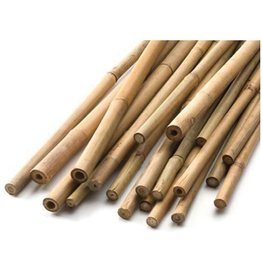 Natural HD Bamboo Cane 8'x 24-26mm