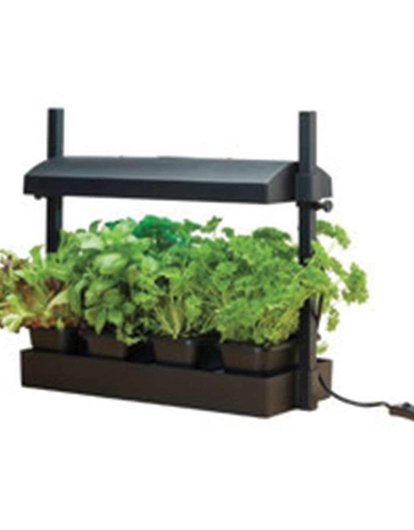 Micro Grow Light Garden