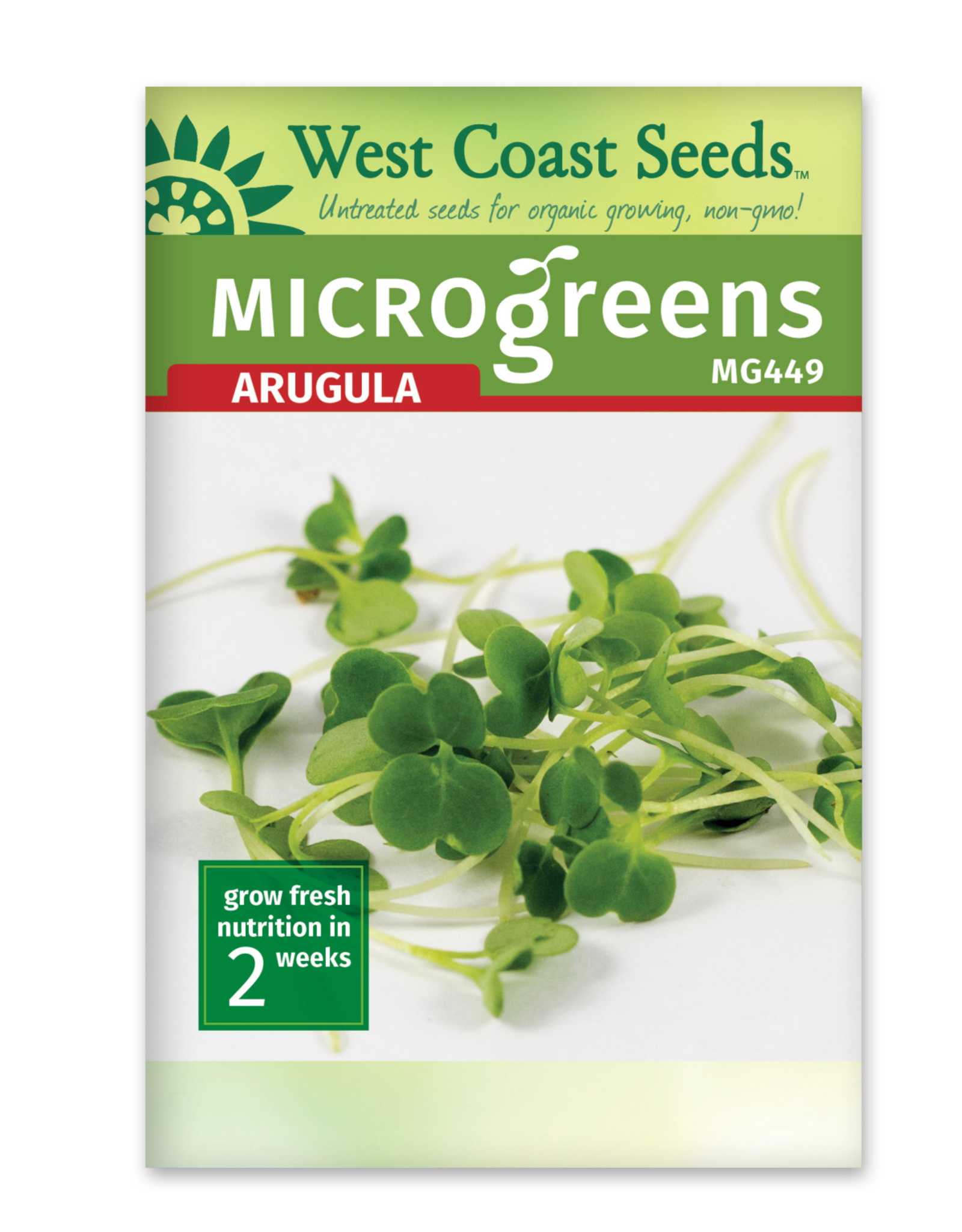 West Coast Seeds Arugula - Microgreen Arugula