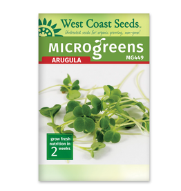 West Coast Seeds Arugula - Microgreen Arugula