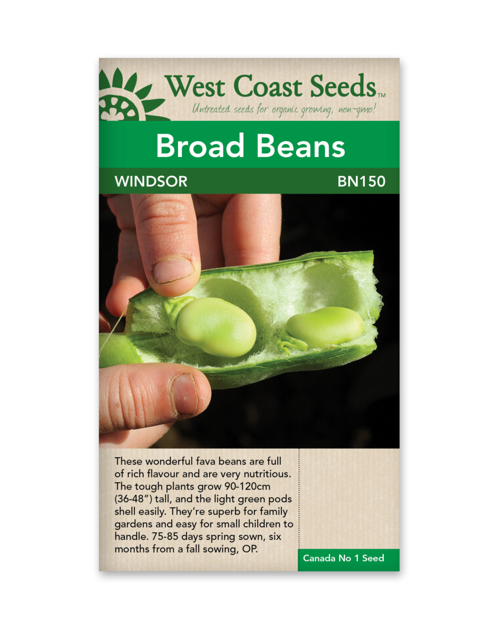 West Coast Seeds Beans - Windsor
