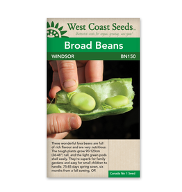 West Coast Seeds Beans - Windsor