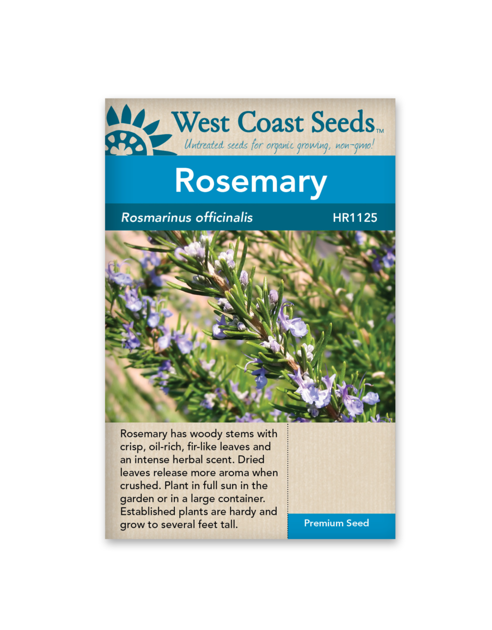 West Coast Seeds Rosemary - Rosemary