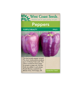 West Coast Seeds Pepper-Sweet - Purple Beauty