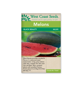 West Coast Seeds Black Beauty Mini Watermelon F1