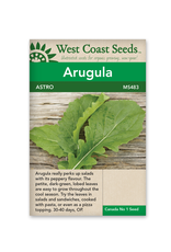 West Coast Seeds Arugula - Astro