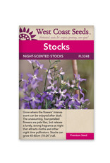 West Coast Seeds Stocks Evening Scented